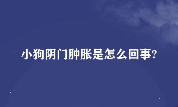 小狗阴门肿胀是怎么回事?