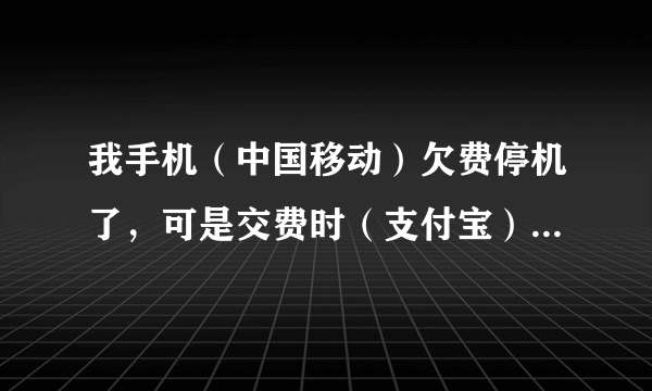 我手机（中国移动）欠费停机了，可是交费时（支付宝）被退回来，这是怎么回事