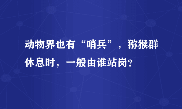 动物界也有“哨兵”，猕猴群休息时，一般由谁站岗？