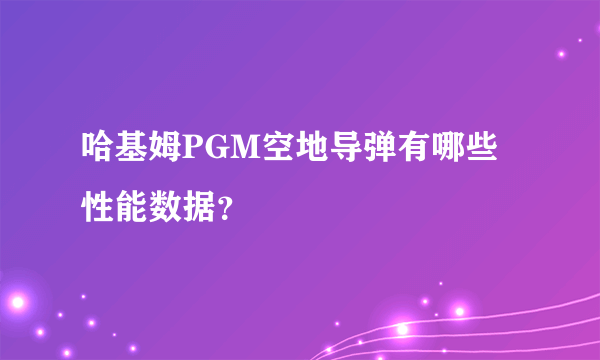 哈基姆PGM空地导弹有哪些性能数据？