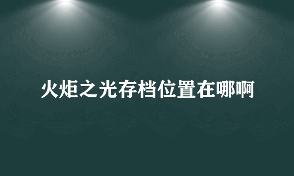 火炬之光存档位置在哪啊