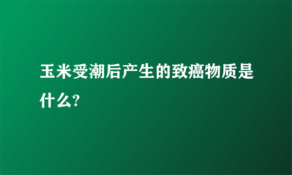 玉米受潮后产生的致癌物质是什么?