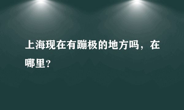 上海现在有蹦极的地方吗，在哪里？