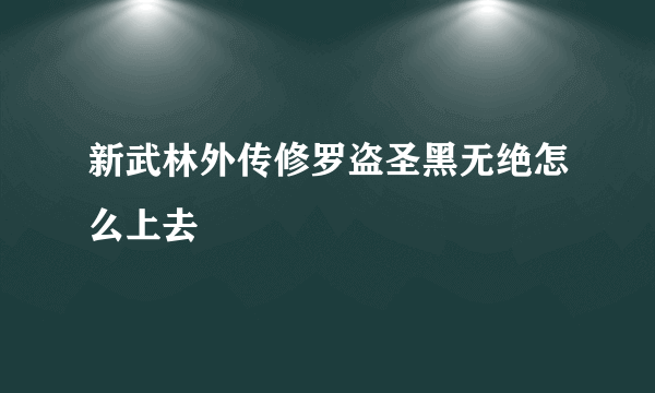 新武林外传修罗盗圣黑无绝怎么上去