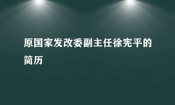 原国家发改委副主任徐宪平的简历