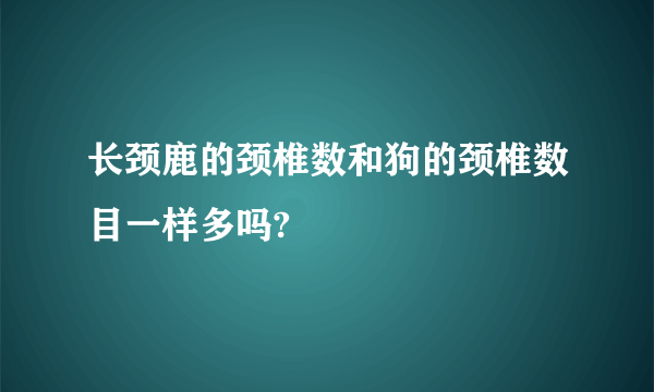 长颈鹿的颈椎数和狗的颈椎数目一样多吗?