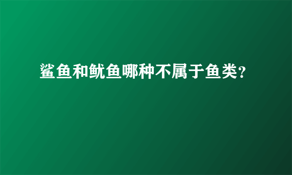 鲨鱼和鱿鱼哪种不属于鱼类？