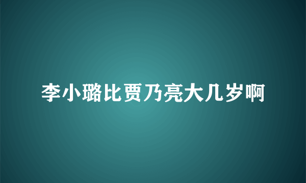 李小璐比贾乃亮大几岁啊