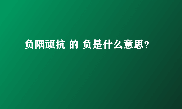 负隅顽抗 的 负是什么意思？