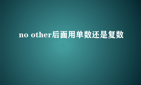 no other后面用单数还是复数