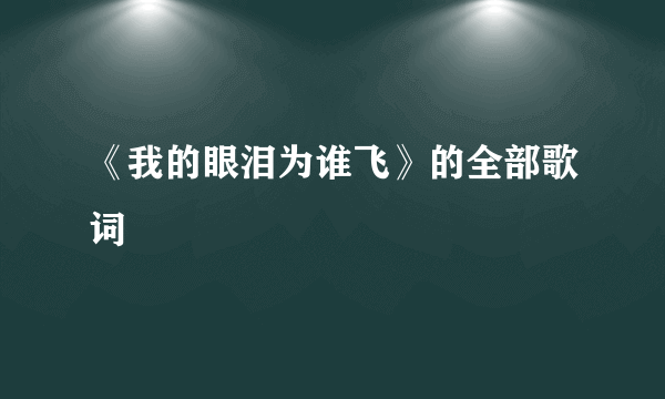 《我的眼泪为谁飞》的全部歌词