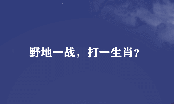 野地一战，打一生肖？