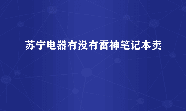 苏宁电器有没有雷神笔记本卖