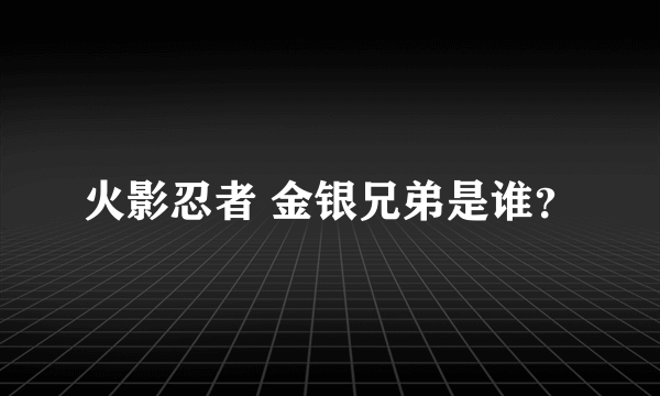 火影忍者 金银兄弟是谁？