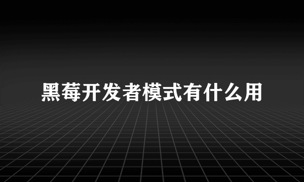 黑莓开发者模式有什么用