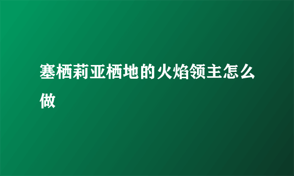 塞栖莉亚栖地的火焰领主怎么做