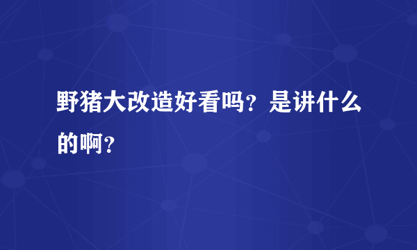 野猪大改造好看吗？是讲什么的啊？