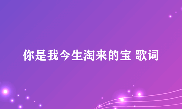 你是我今生淘来的宝 歌词