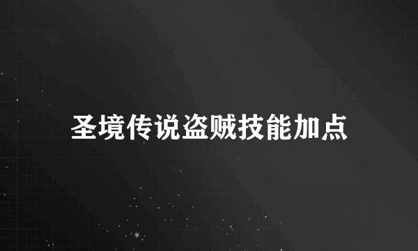 圣境传说盗贼技能加点