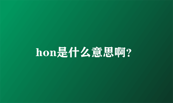 hon是什么意思啊？