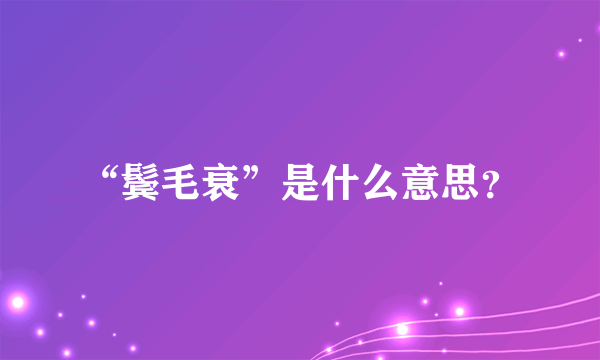 “鬓毛衰”是什么意思？