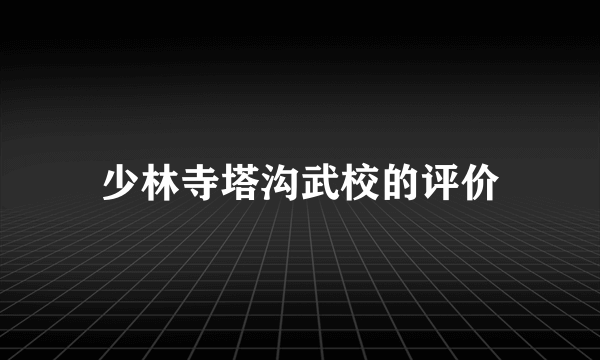 少林寺塔沟武校的评价