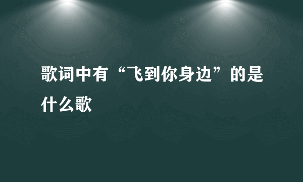 歌词中有“飞到你身边”的是什么歌