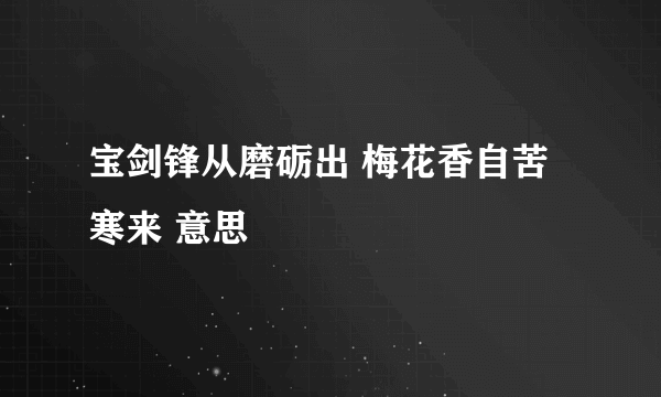 宝剑锋从磨砺出 梅花香自苦寒来 意思