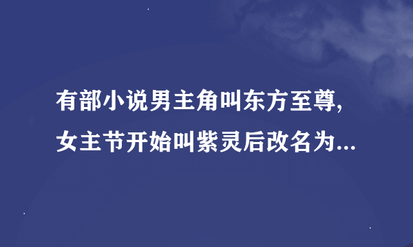 有部小说男主角叫东方至尊,女主节开始叫紫灵后改名为岩,谁知道这本书的名字啊?