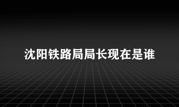 沈阳铁路局局长现在是谁