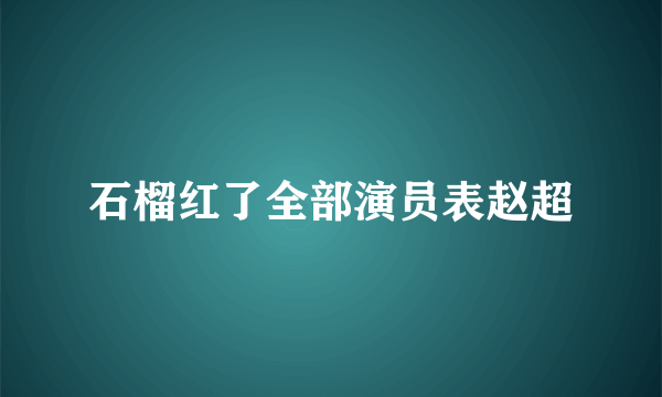 石榴红了全部演员表赵超