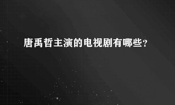 唐禹哲主演的电视剧有哪些？