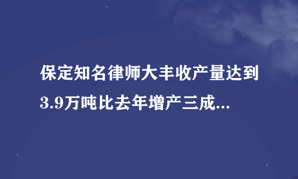 保定知名律师大丰收产量达到3.9万吨比去年增产三成去年荔枝产量是多少？