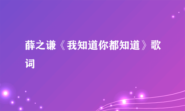 薛之谦《我知道你都知道》歌词