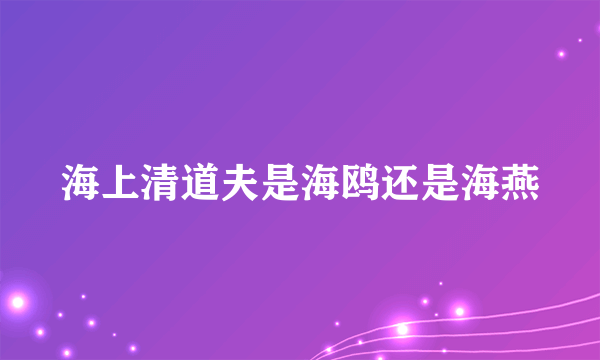 海上清道夫是海鸥还是海燕