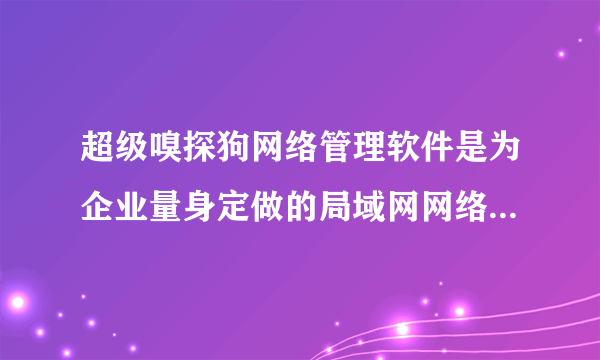 超级嗅探狗网络管理软件是为企业量身定做的局域网网络监控系统。 您只需要在一台电脑上安装超级嗅探狗即可