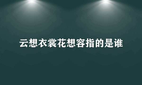 云想衣裳花想容指的是谁