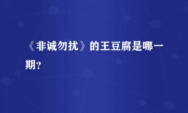 《非诚勿扰》的王豆腐是哪一期？