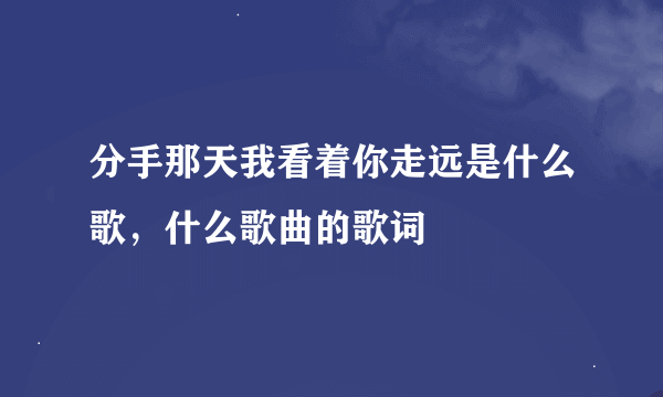 分手那天我看着你走远是什么歌，什么歌曲的歌词