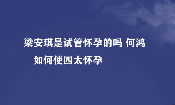 梁安琪是试管怀孕的吗 何鸿燊如何使四太怀孕