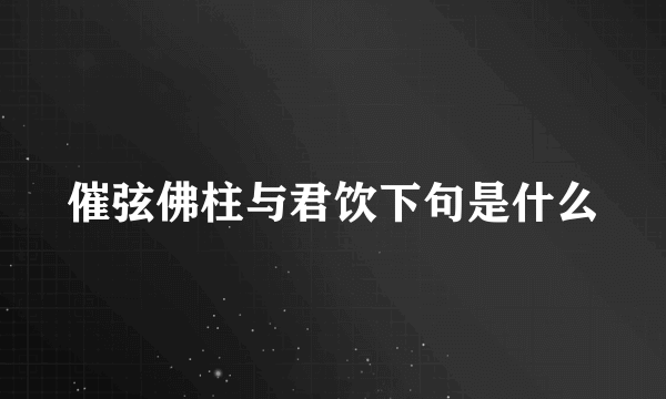 催弦佛柱与君饮下句是什么