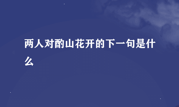 两人对酌山花开的下一句是什么