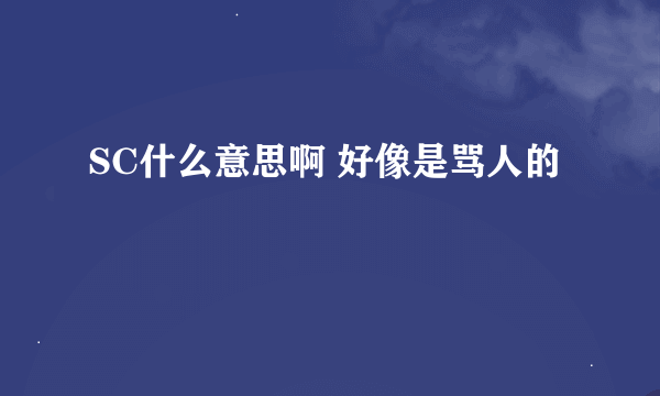 SC什么意思啊 好像是骂人的