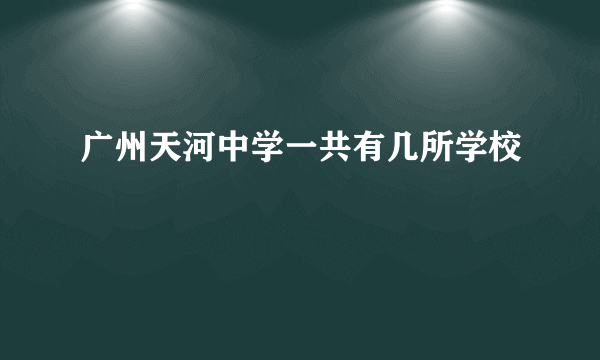 广州天河中学一共有几所学校