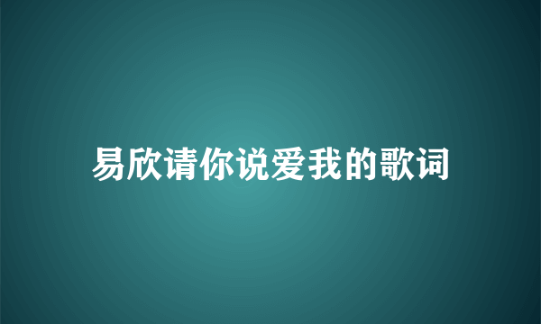 易欣请你说爱我的歌词