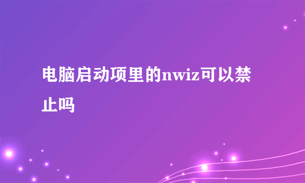 电脑启动项里的nwiz可以禁止吗