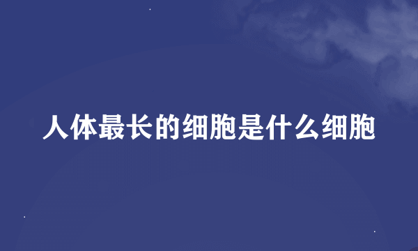 人体最长的细胞是什么细胞