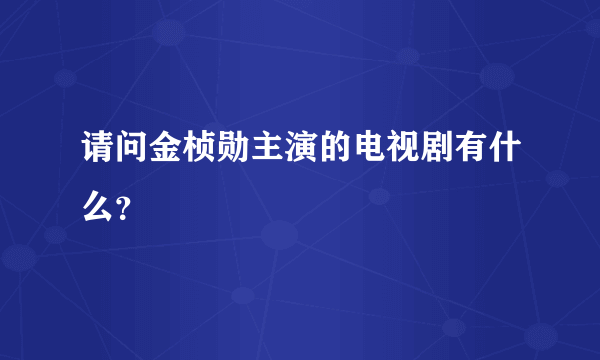 请问金桢勋主演的电视剧有什么？