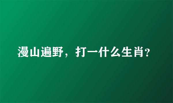 漫山遍野，打一什么生肖？