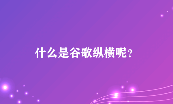 什么是谷歌纵横呢？